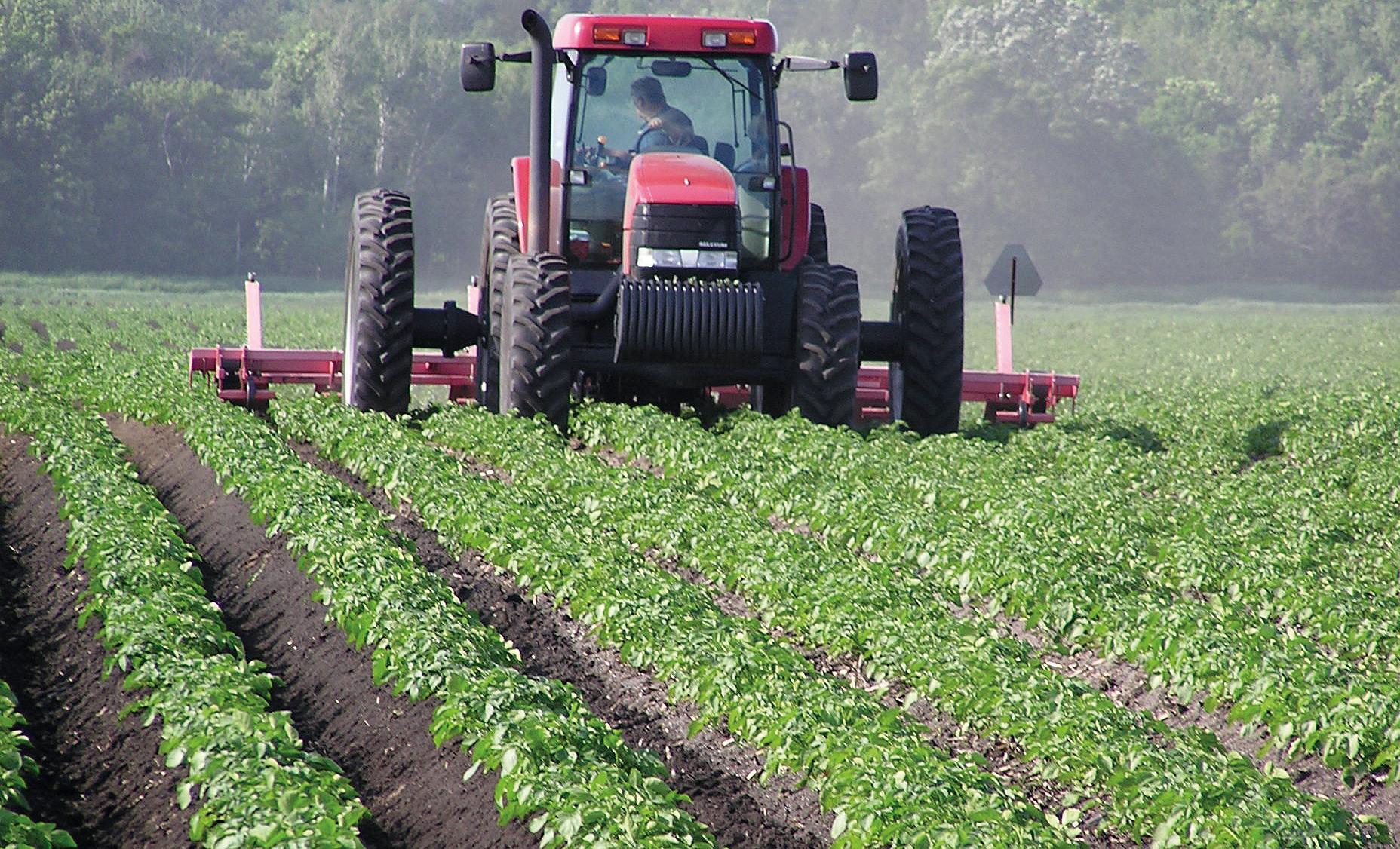 Red tractor working in a field 